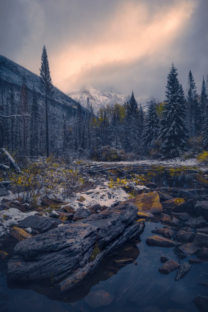 Mountain Stream Golden Light by Alex Zhao — canvas wall art