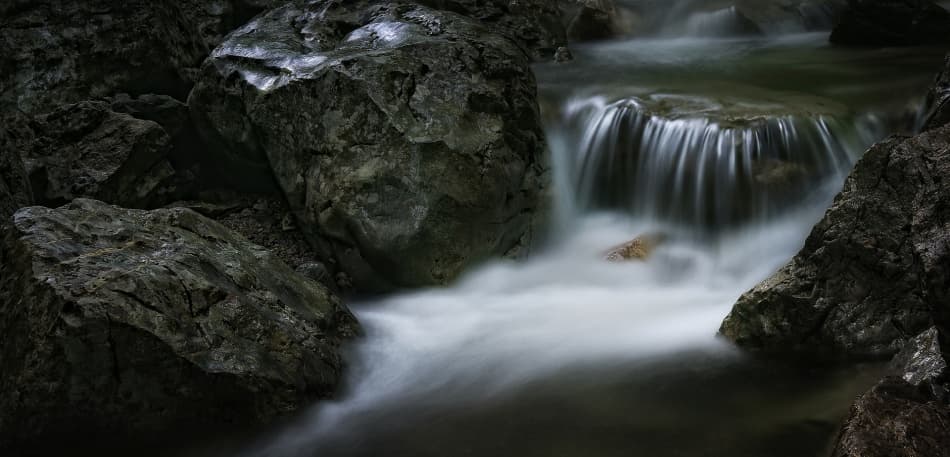 Misty Forest Cascade by Norbert Maier — canvas wall art