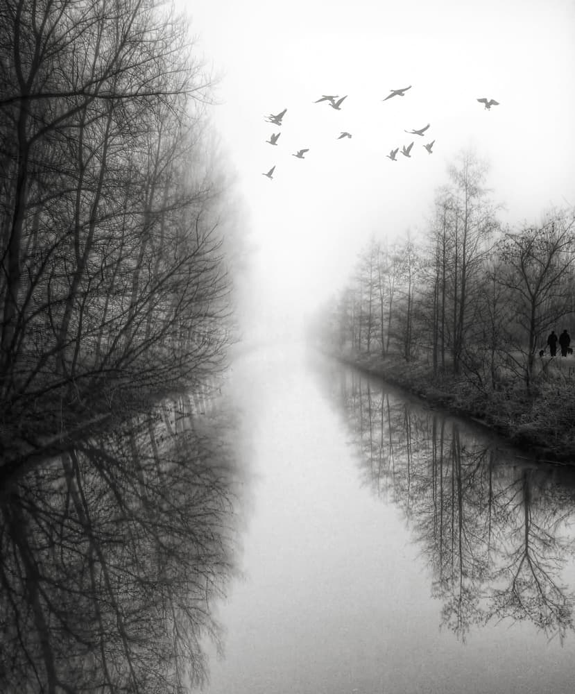 Misty River with Birds by Yvette Depaepe — canvas wall art