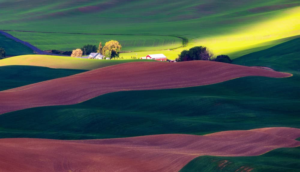 Golden Fields Farmhouse by James Lu — canvas wall art