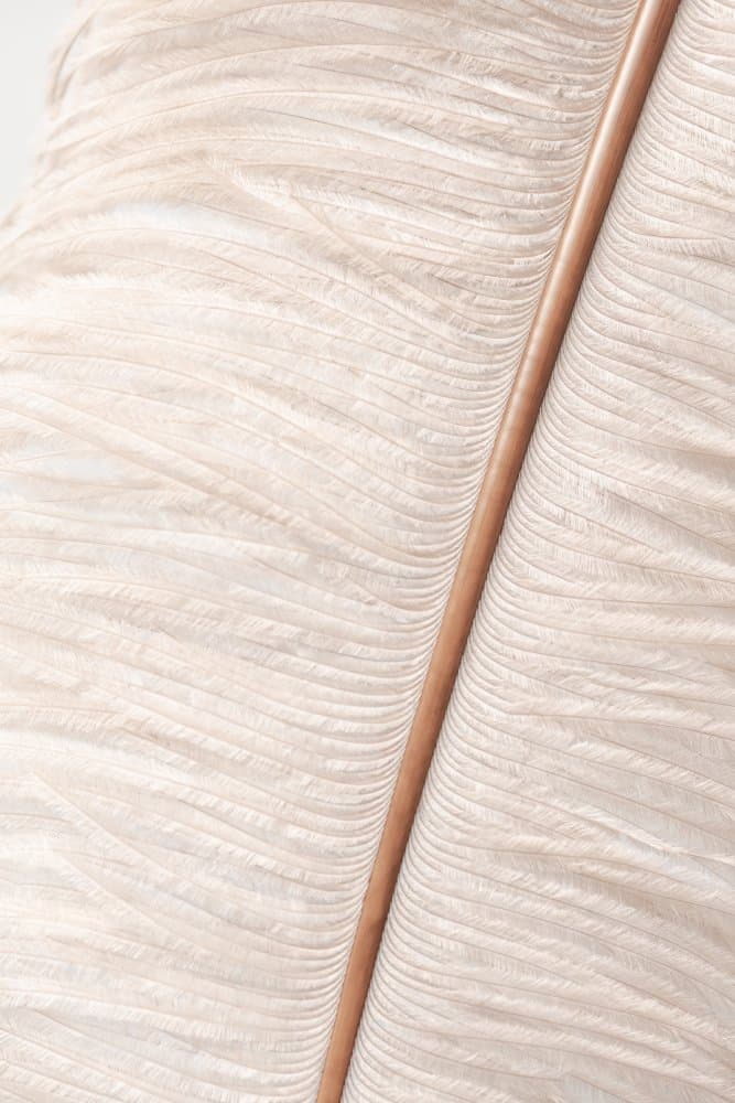 Soft Beige Feather by Pictufy Studio III — canvas wall art