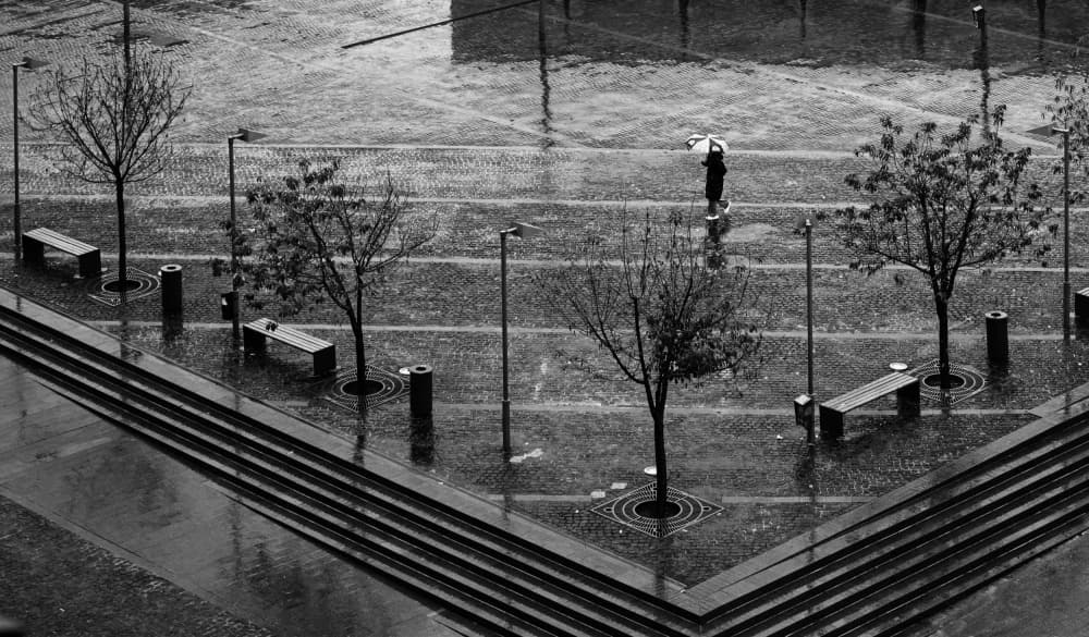 Rainy City Solitude by Julien Oncete — canvas wall art