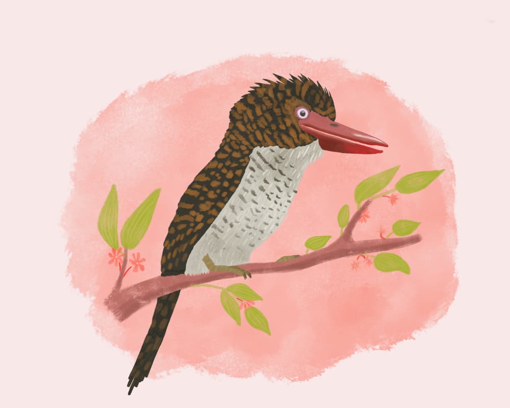 Tropical Bird on Branch by Aliya Putrus — canvas wall art