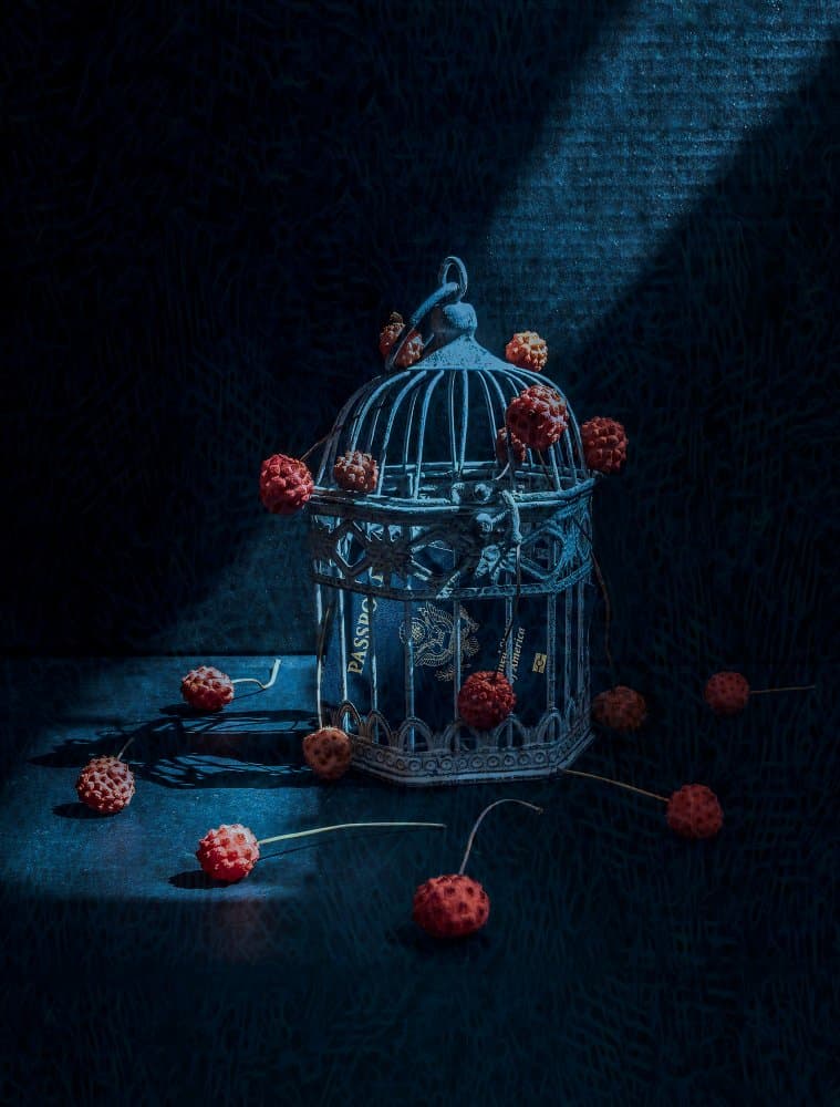 Mysterious Birdcage and Berries by May G — canvas wall art