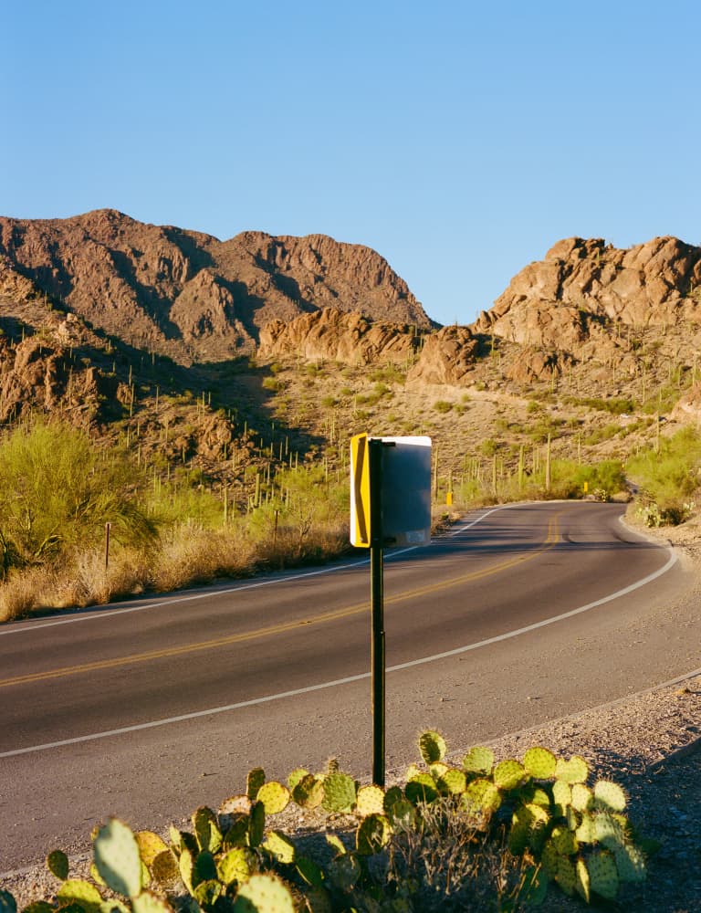 Golden Desert Road by Bethany Young — canvas wall art