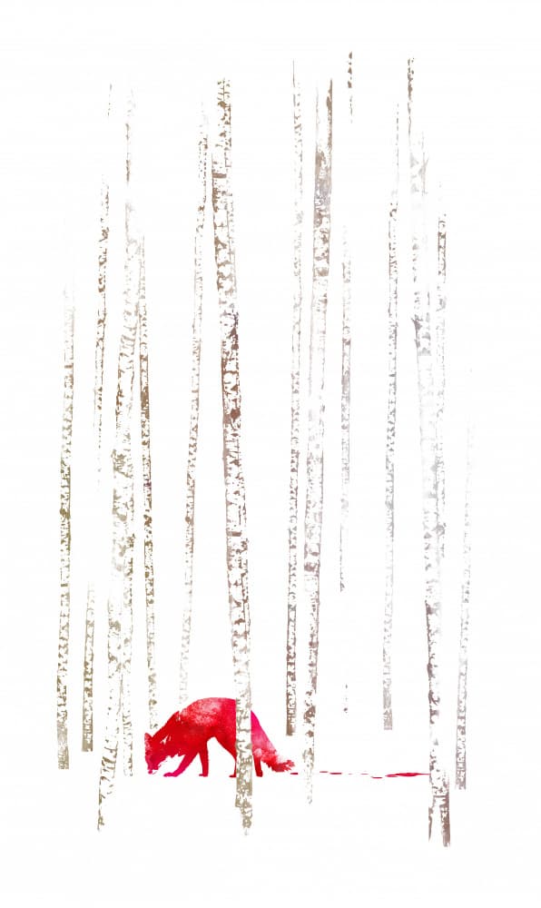 Red Fox Birch Forest by Robert Farkas — canvas wall art