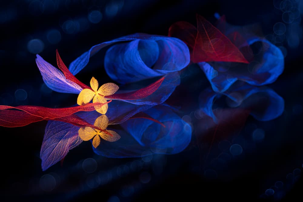 Ethereal Floral Ribbons by Igor Kopcev — canvas wall art