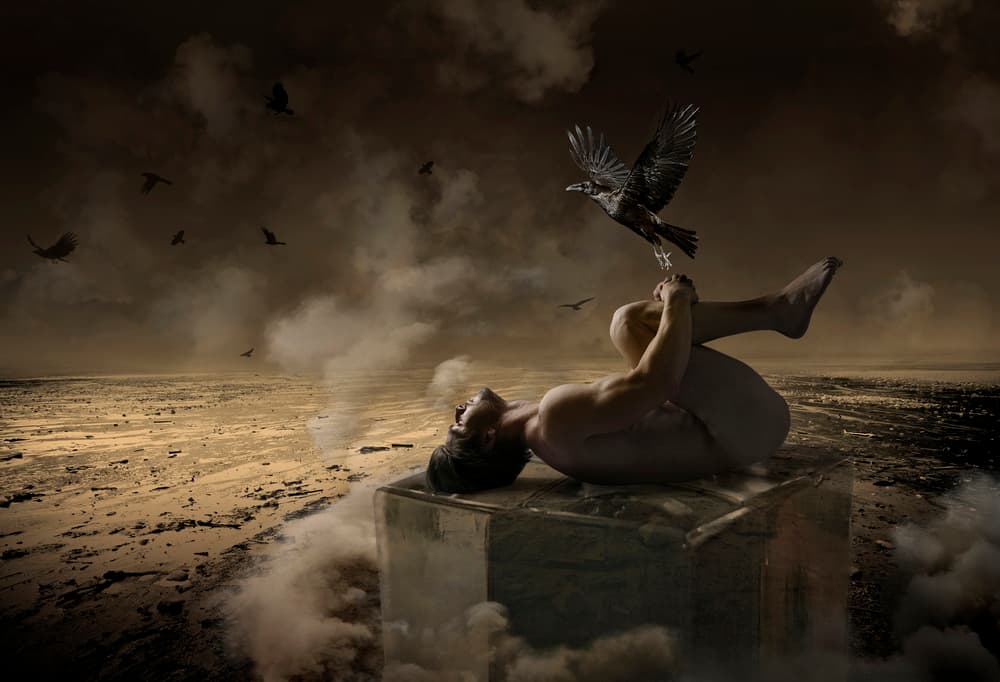Desert Figure and Raven by DDiArte — canvas wall art