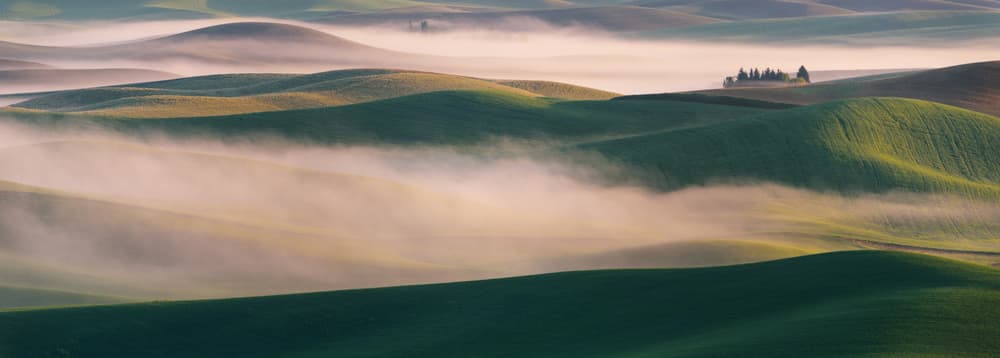 Misty Green Hills by 李从军 / Austin Li — canvas wall art