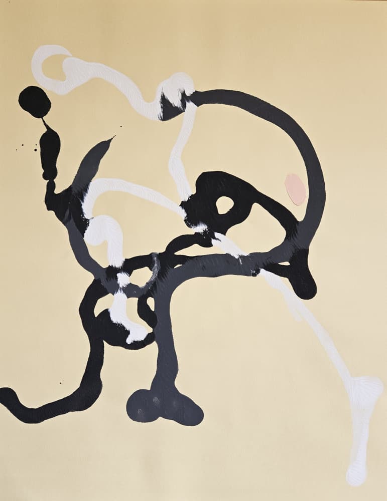 Flowing Abstract Lines by Stefano Mazzolini — canvas wall art