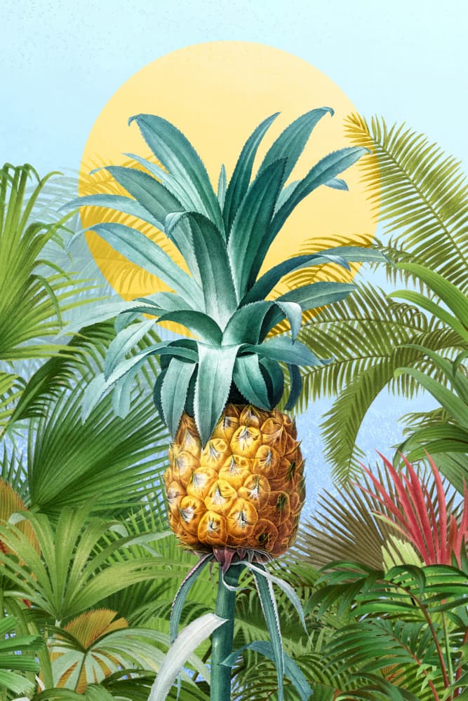 Golden Pineapple Jungle by Marja van den Hurk — canvas wall art