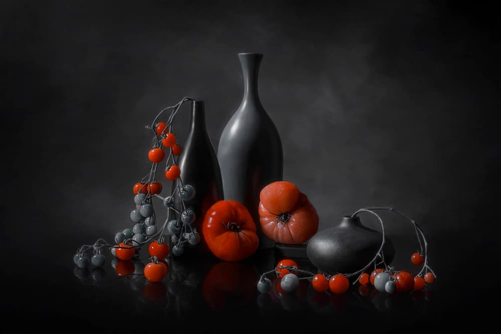 Moody Tomato Still Life by Lydia Jacobs — canvas wall art