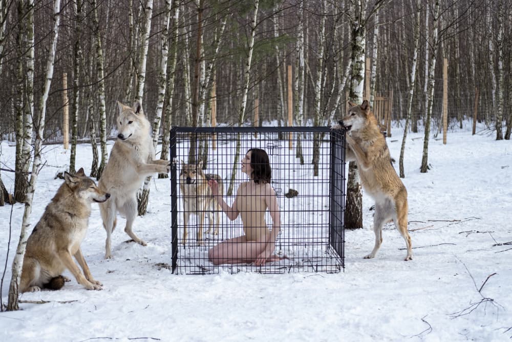 Naked Woman Wild Wolves by Zanna — canvas wall art