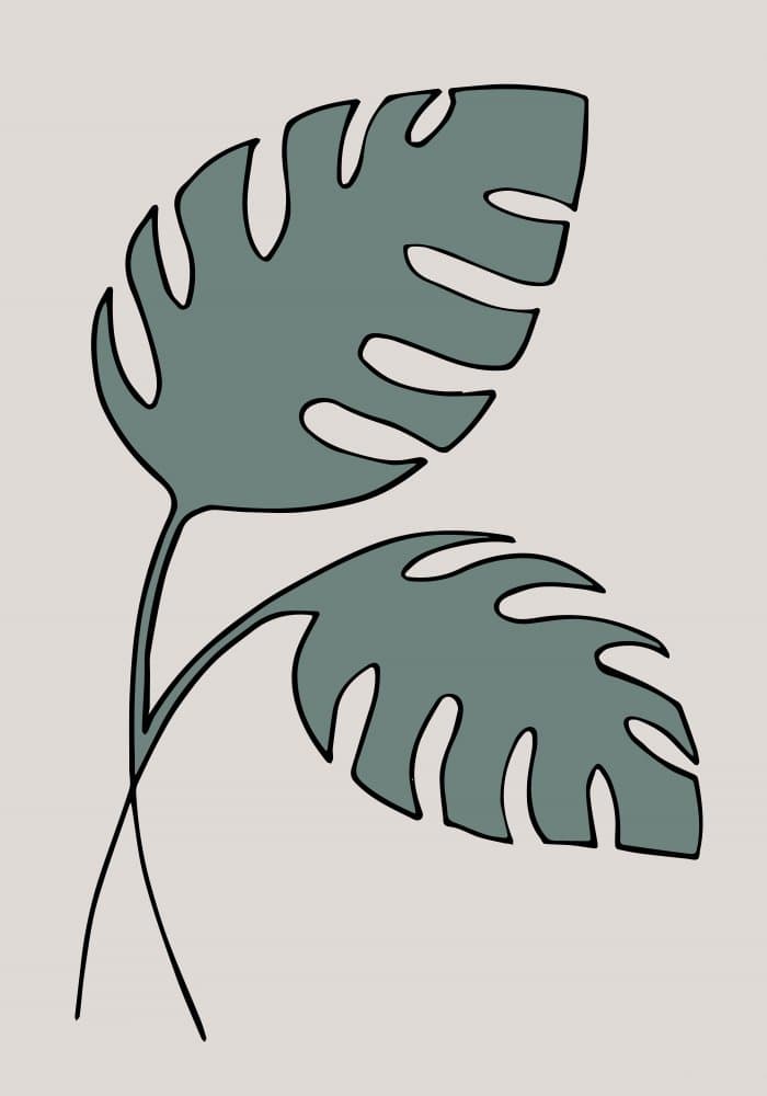 Modern Monstera Leaves by Pictufy Studio II — canvas wall art