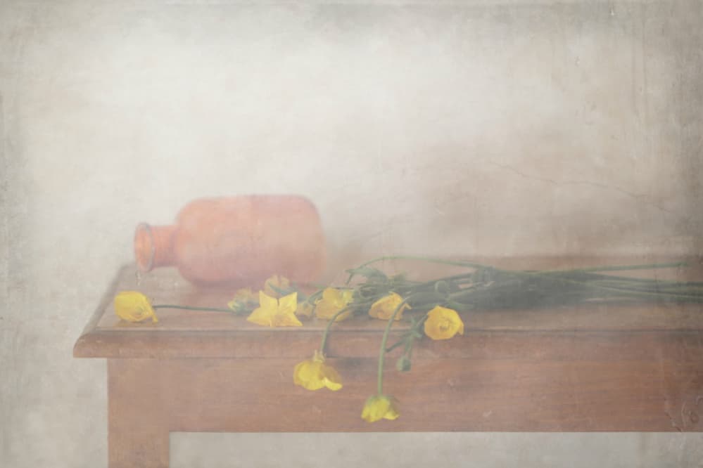 Soft Yellow Still Life by Delphine Devos — canvas wall art