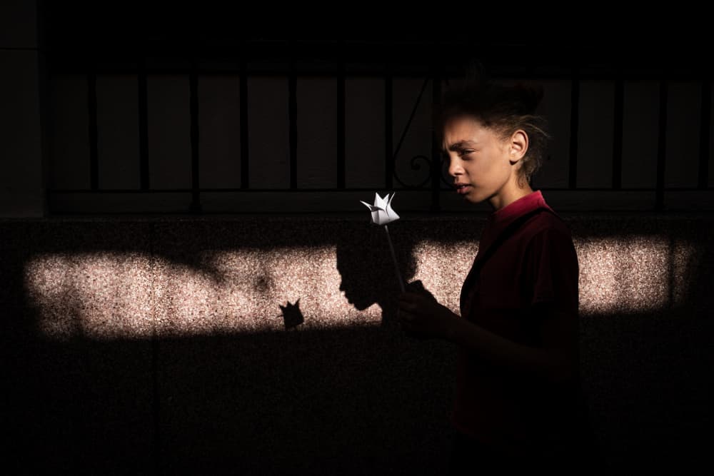 Girl and Shadow Flower by Ali Khataw — canvas wall art