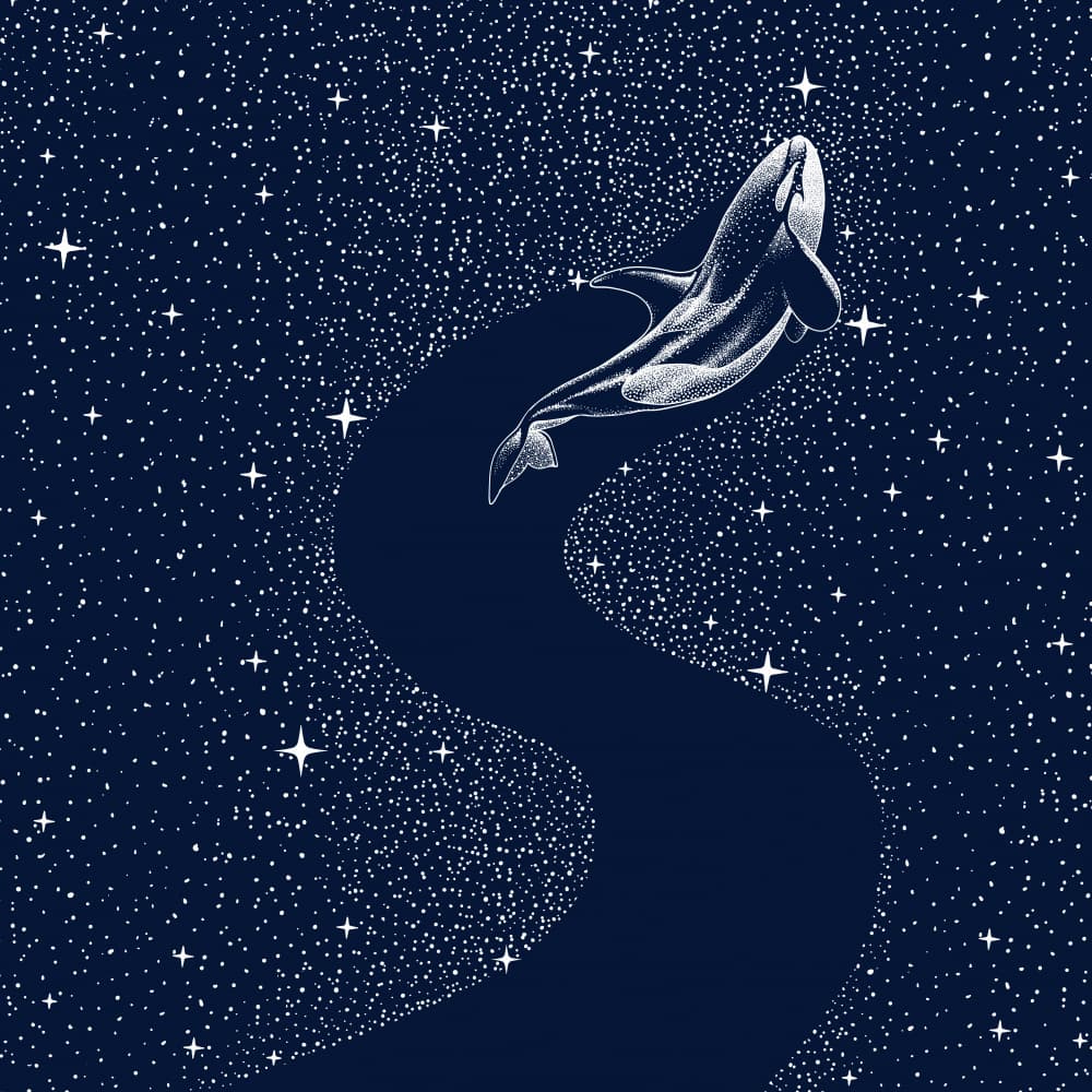 Dream Whale Among Stars by Alirıza ÇAKIR — canvas wall art
