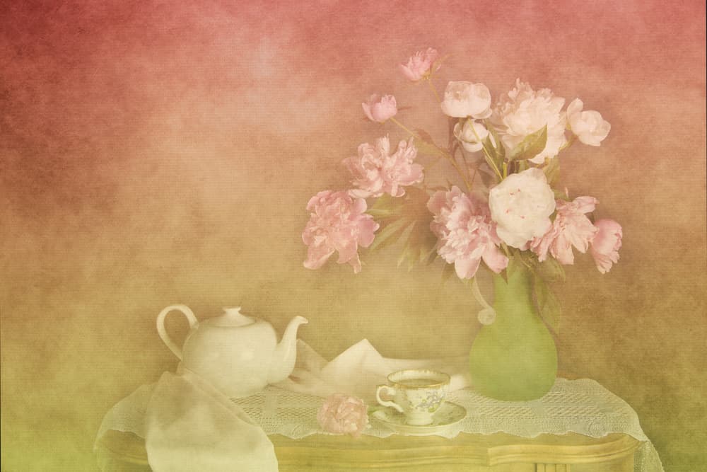 Soft Peonies Tea Time by Darlene Hewson — canvas wall art