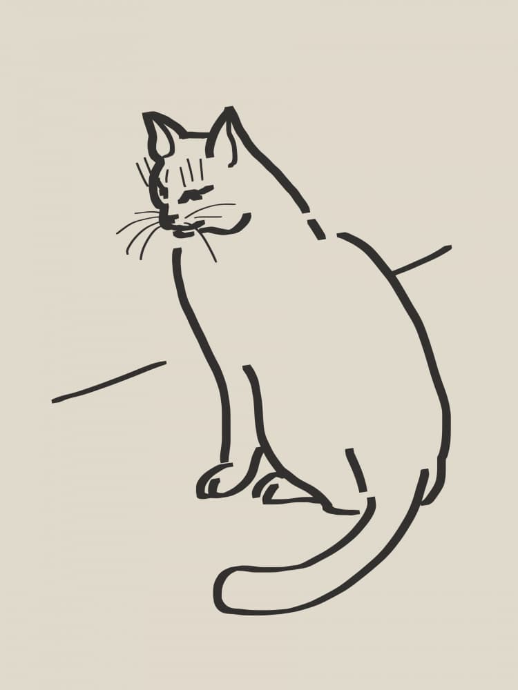 Elegant Line Cat by Little Dean — canvas wall art