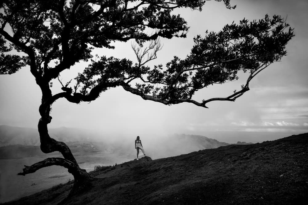 Misty Mountain Serenity by Milan Uhrin AFIAP AZSF — canvas wall art