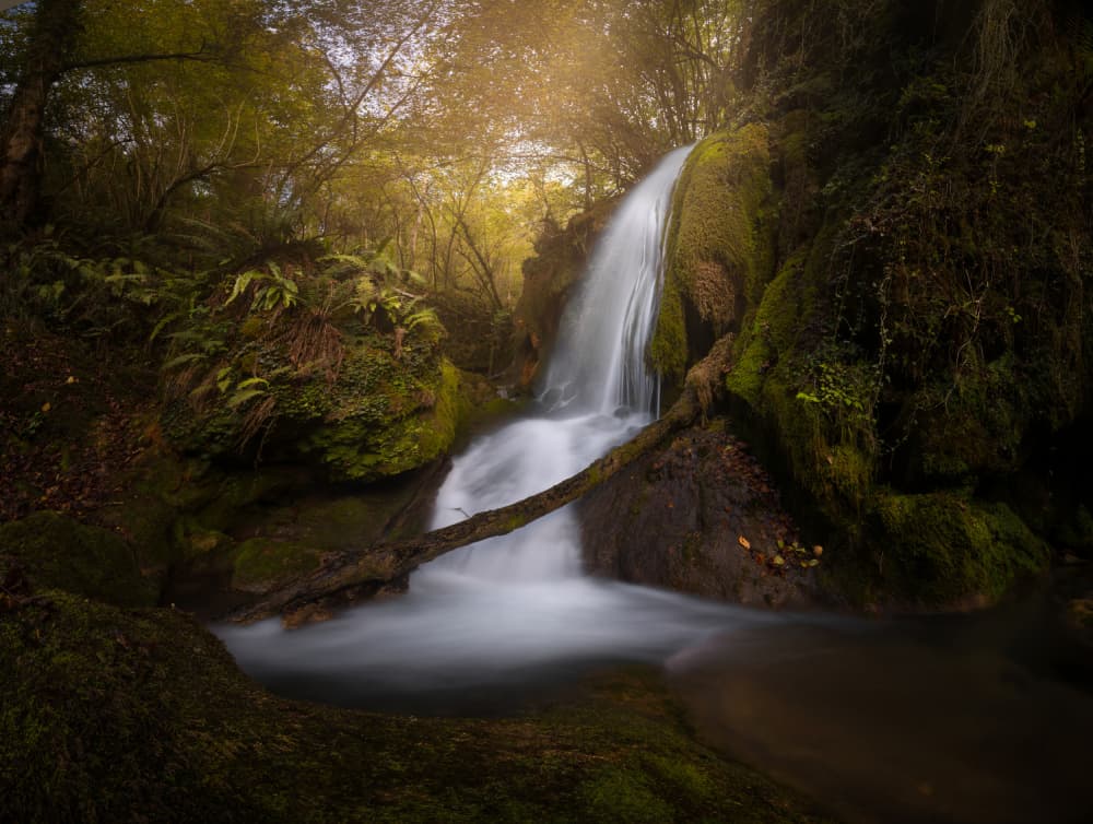 Autumn Forest Waterfall by Juan I. Cuadrado — canvas wall art