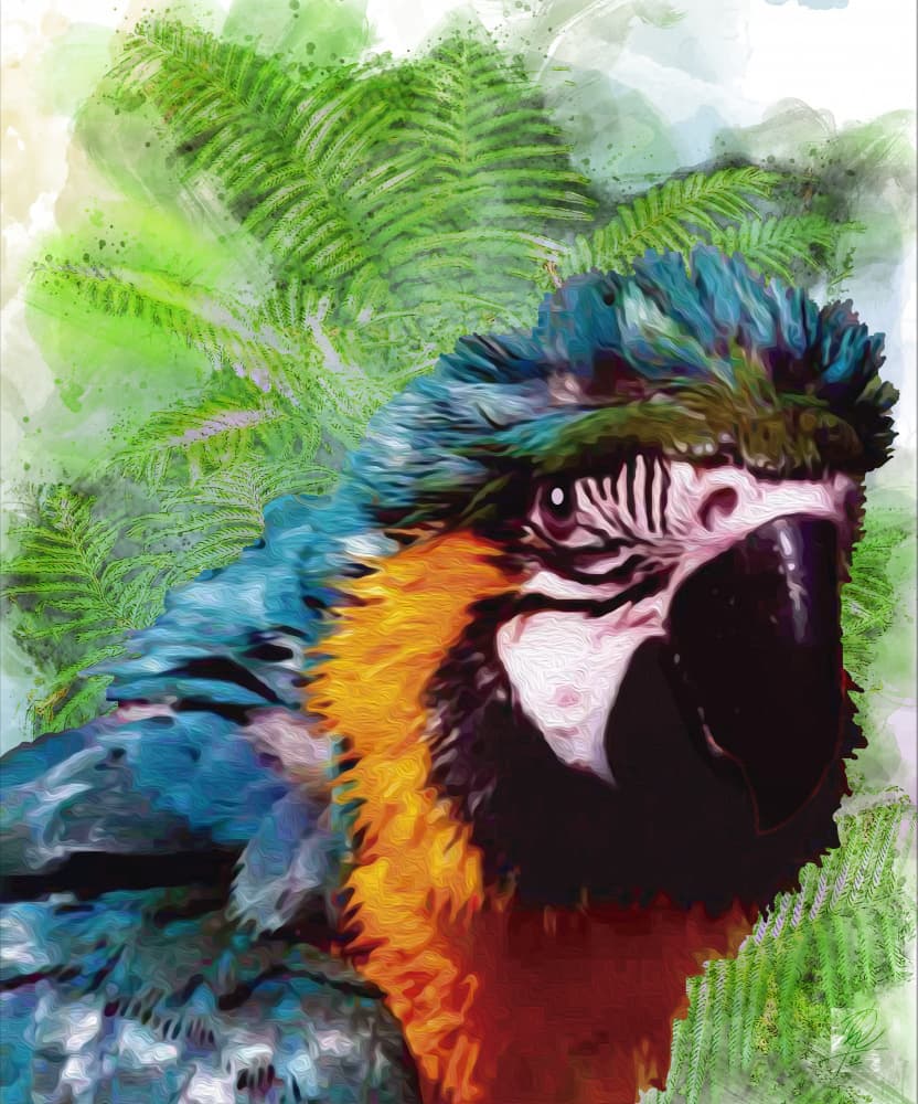 Vibrant Macaw Portrait by Osvaldo Russo — canvas wall art