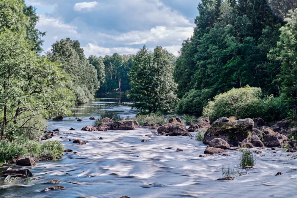 Flowing Forest River by Geertjan Plooijer — canvas wall art