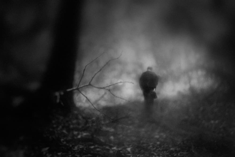 Lone Man in Misty Woods by Teruhiko Tsuchida — canvas wall art