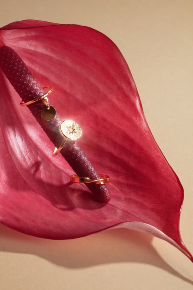 Golden Rings Anthurium by Julia Ramiro — canvas wall art