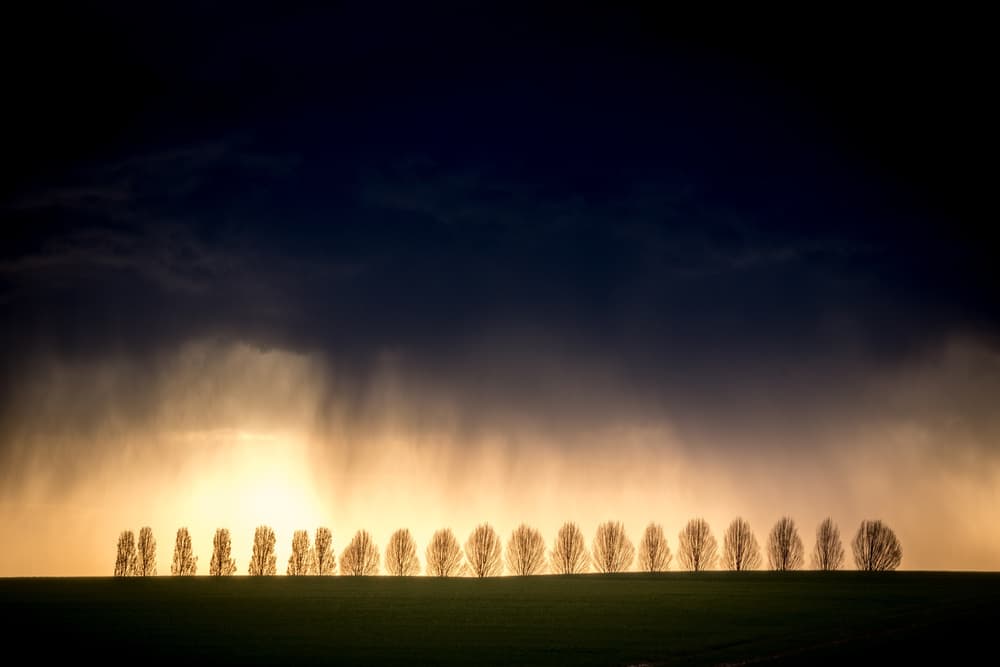 Dramatic Rain Shower by Adam Dauria ☂ — canvas wall art