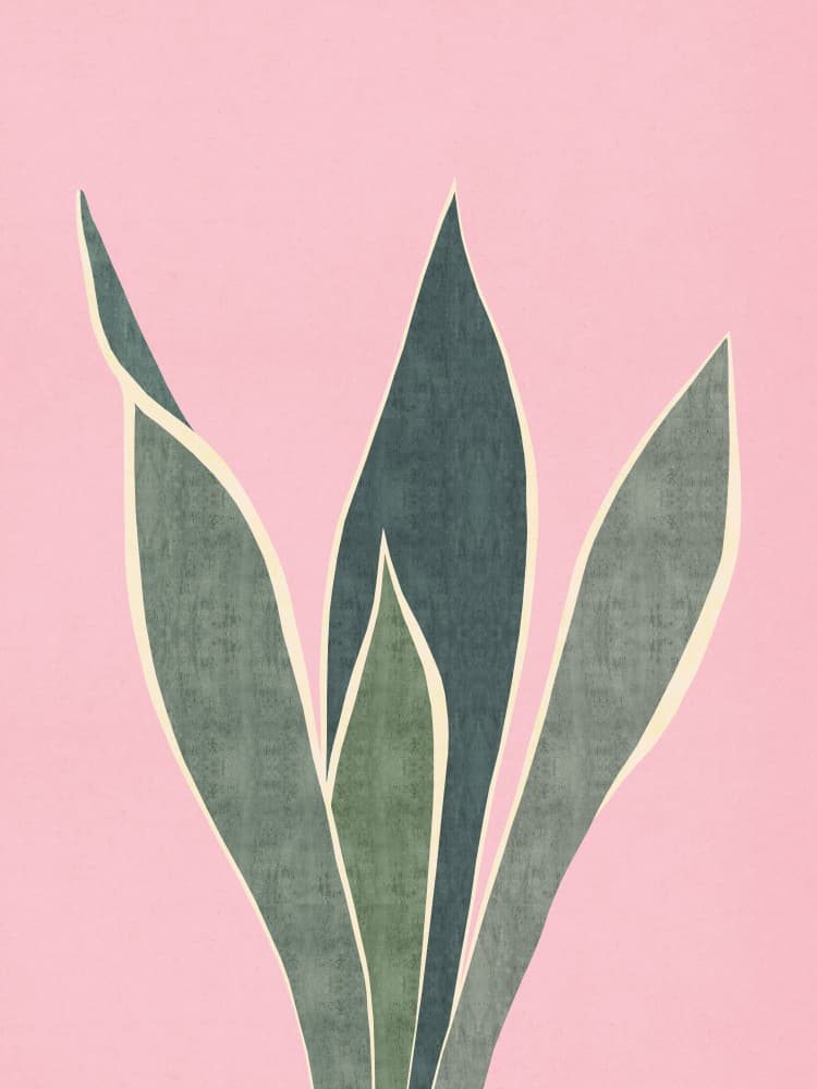 Minimal Pink Foliage by Vitor Costa — canvas wall art