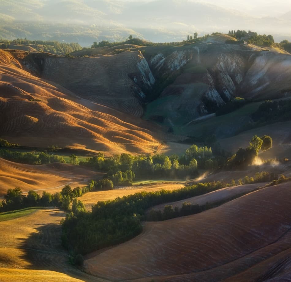Golden Rolling Hills by Krzysztof Browko — canvas wall art