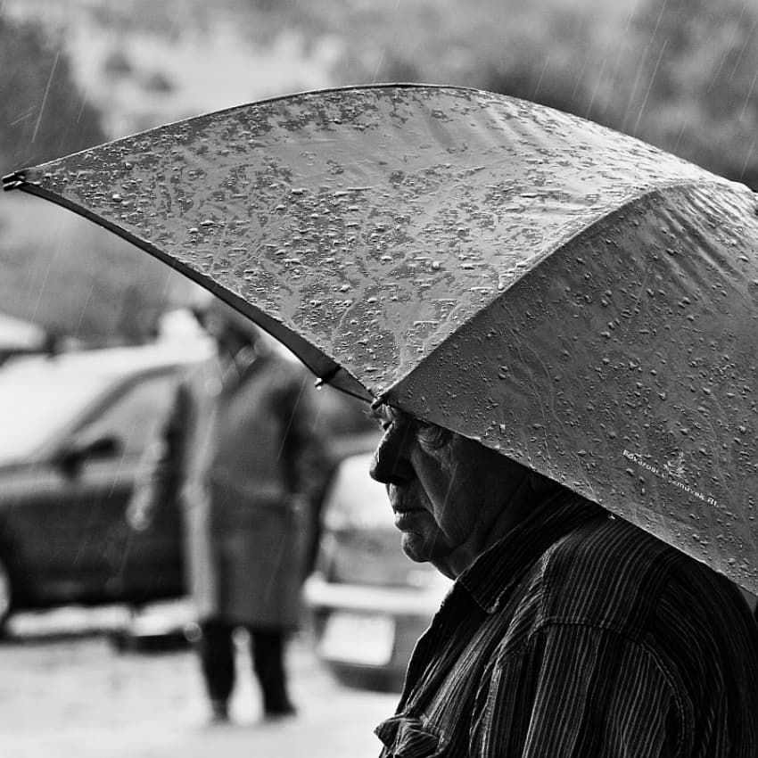 Rainy Day Profile by Nicoleta Gabor — canvas wall art