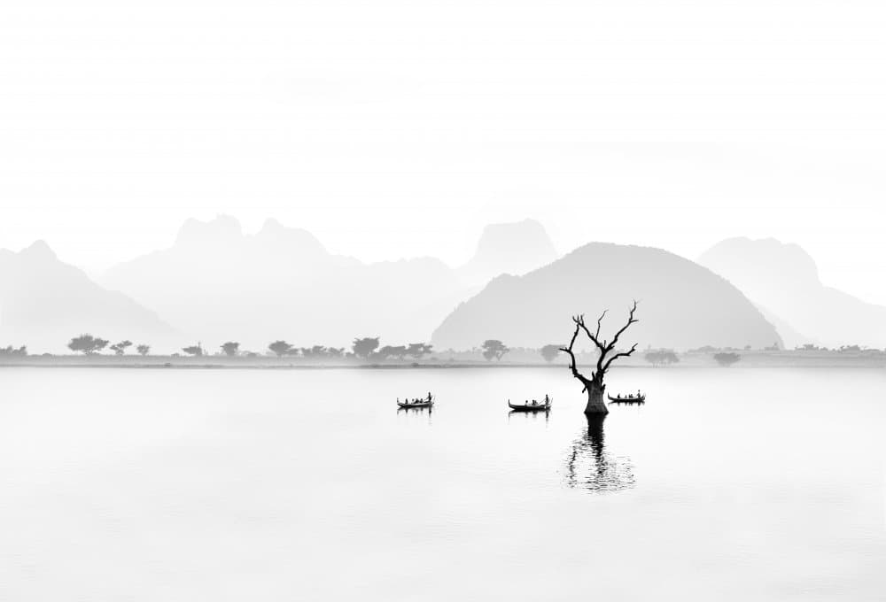 Misty Lake Tree Boats by Giovanni Cavalli — canvas wall art