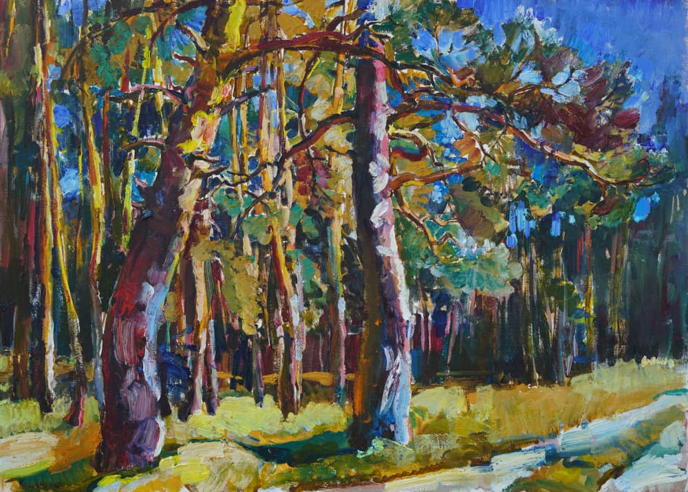 Sunlit Pine Forest Path by Andrii Kutsachenko — canvas wall art