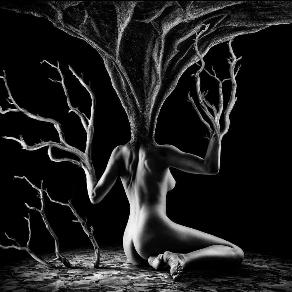 Tree Woman Nude by Jackson Carvalho — canvas wall art