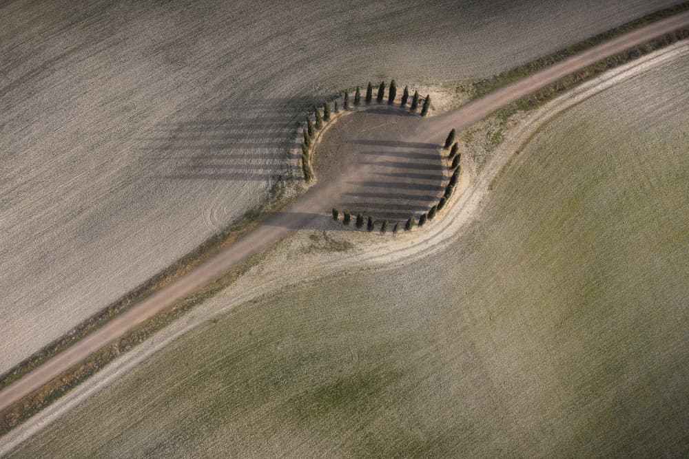 Long Shadows Field Circle by Andrea Maestosi — canvas wall art