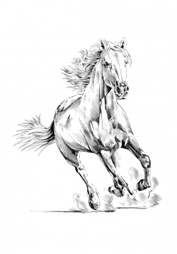 Dynamic Galloping Horse by Kulik — canvas wall art