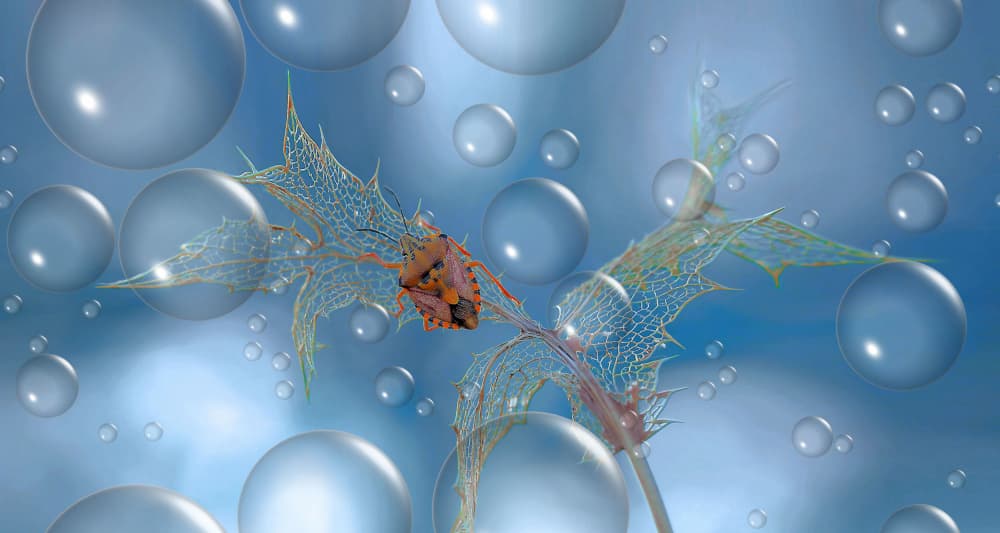 Floating Leaf Bubbles by Thierry Dufour — canvas wall art