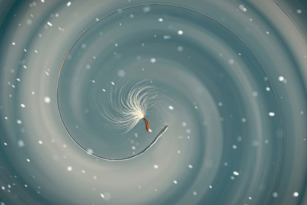 Delicate Winter Swirl by MingLun Tsai (蔡明倫) — canvas wall art