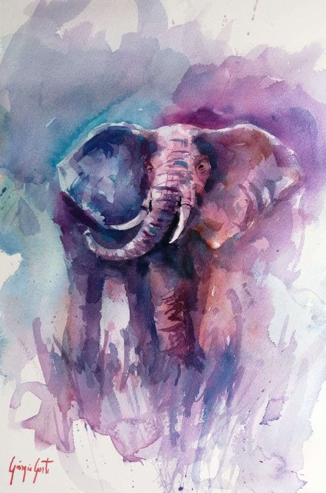Vibrant Elephant Dream by Giorgio Gosti — canvas wall art