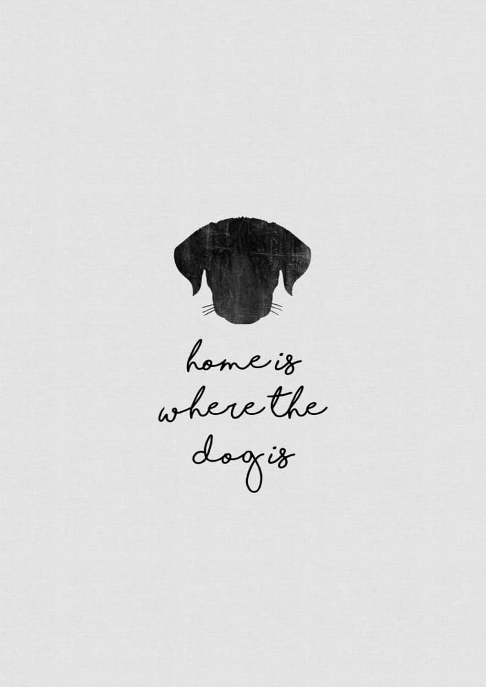 Loyal Dog Home Quote by Orara Studio — canvas wall art