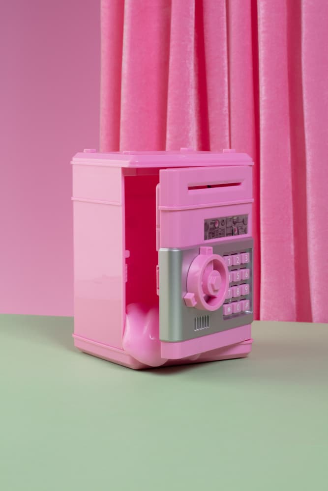 Open Pink Safe by Julia Ramiro — canvas wall art