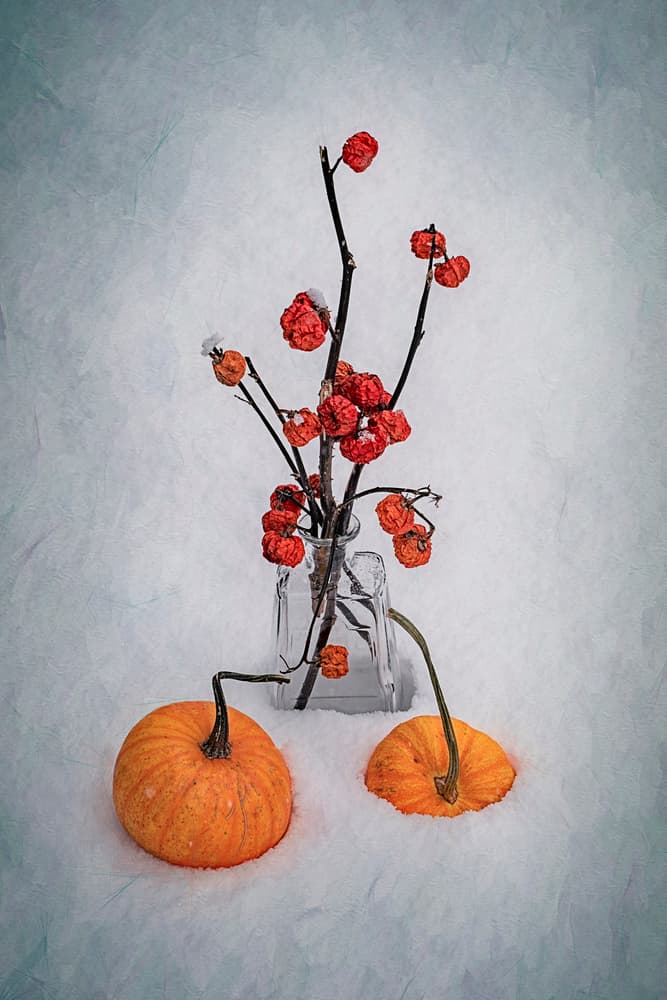 Snowy Harvest Still Life by Lydia Jacobs — canvas wall art