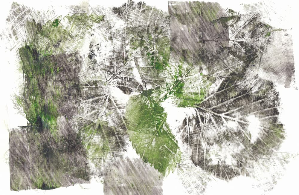 Organic Leaf Impressions by Maira Ribena — canvas wall art