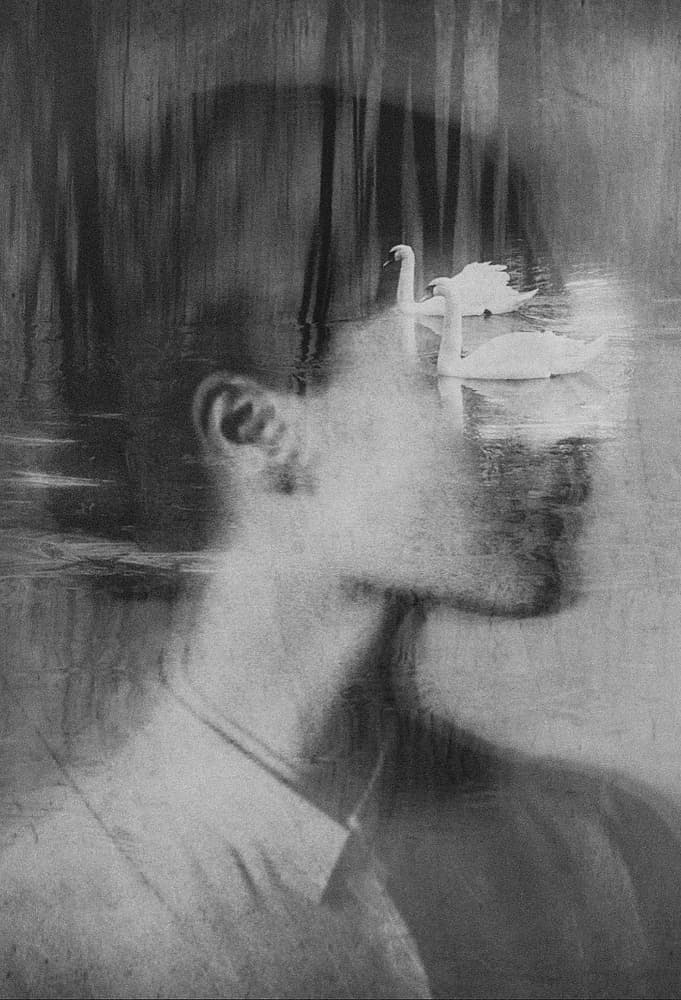 Surreal Man And Swans by Ingrida Urbonavičienė — canvas wall art