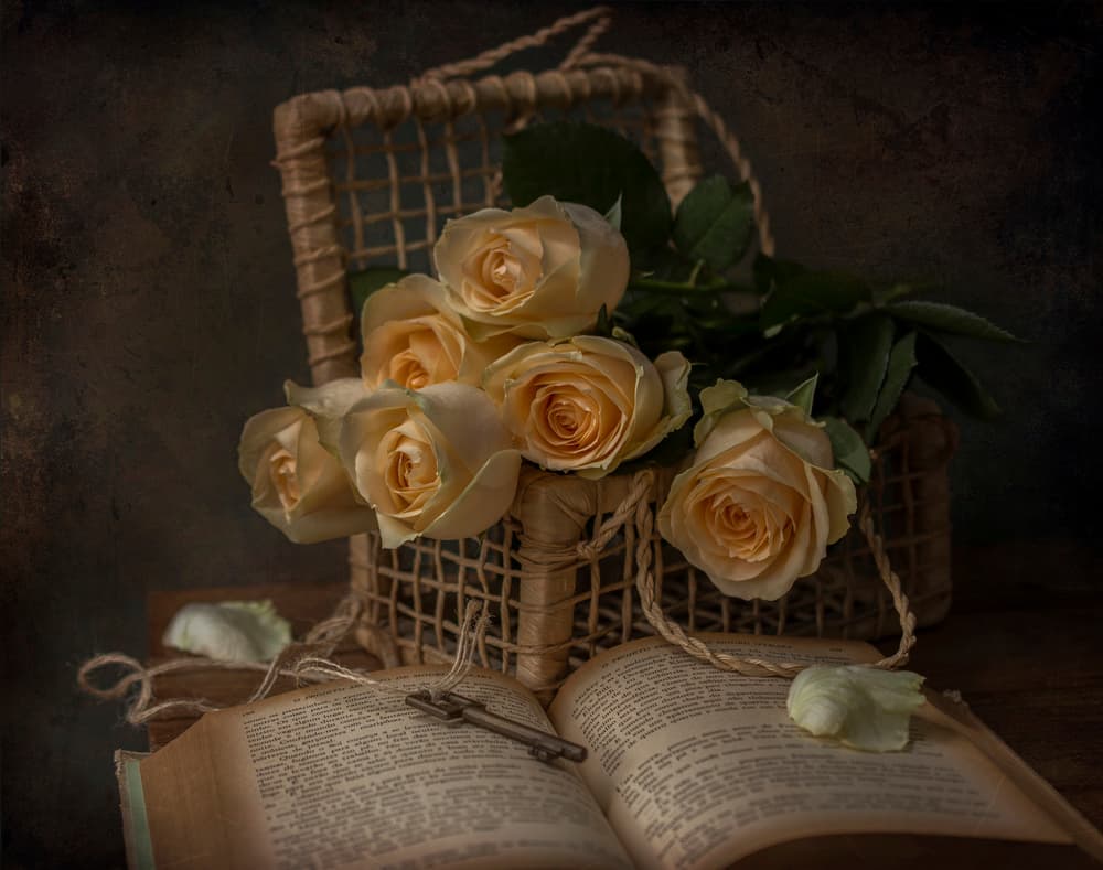 Romantic Roses and Old Book by Margareth Perfoncio — canvas wall art