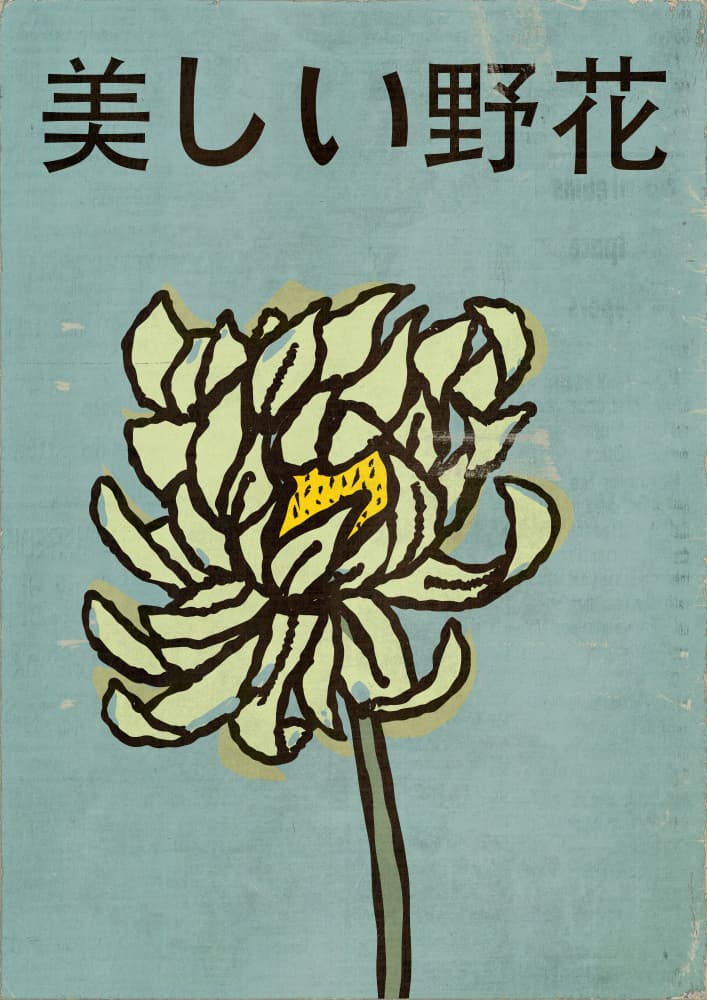 Japanese Wild Flower by Nicholas — canvas wall art