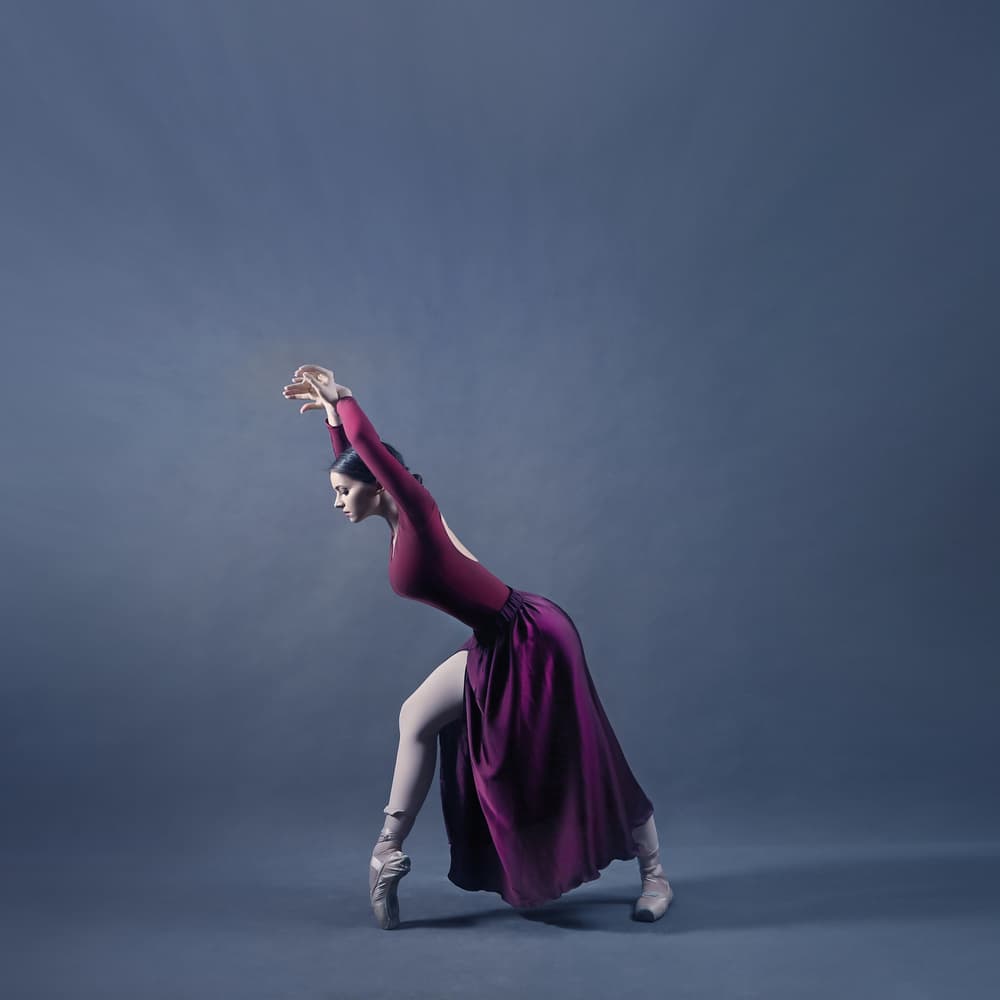 Elegant Ballet Dancer by Moein Hasheminasab — canvas wall art