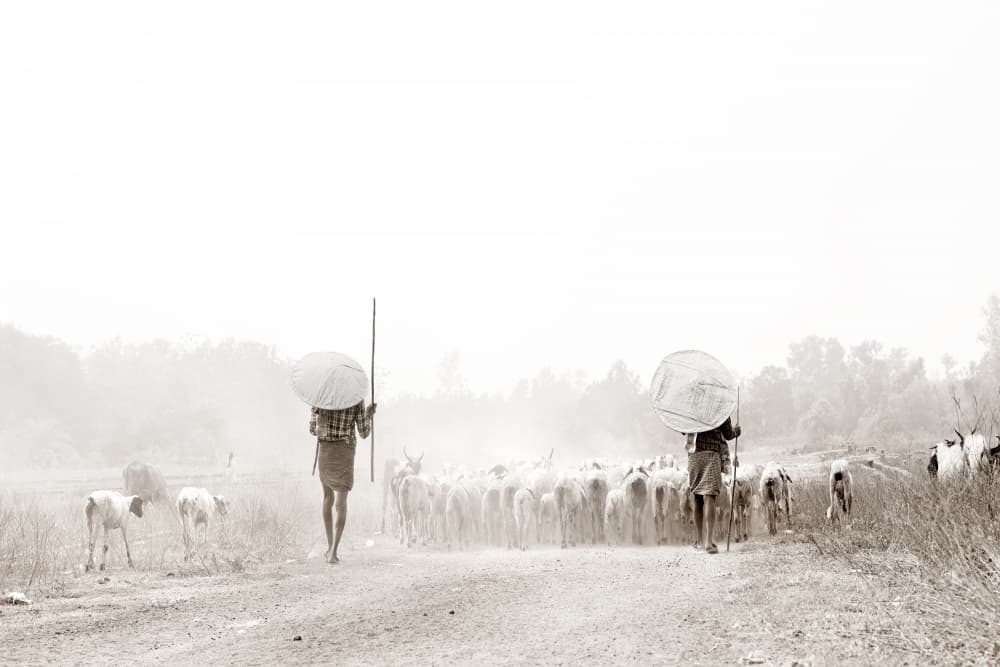 Rural Goatherd Walk by Giovanni Cavalli — canvas wall art